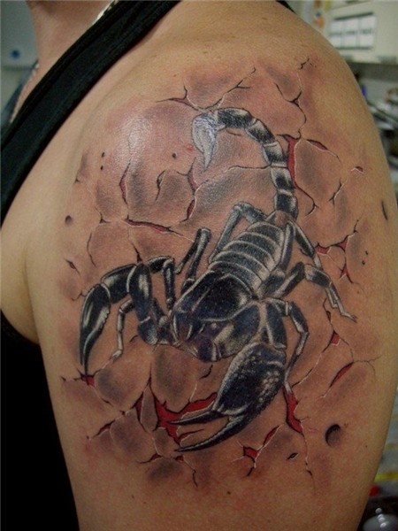 Tattoo sign of the zodiac Scorpio Tatouage de scorpion, Idée