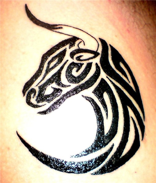 Taurus Tattoos Designs And Ideas Picture #18732 Taurus tatto