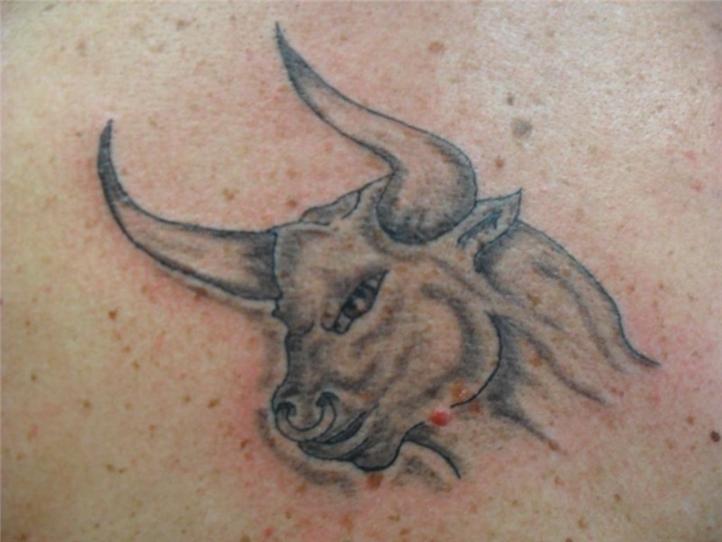 Taurus Tattoos Designs, Ideas and Meaning Tattoos For You