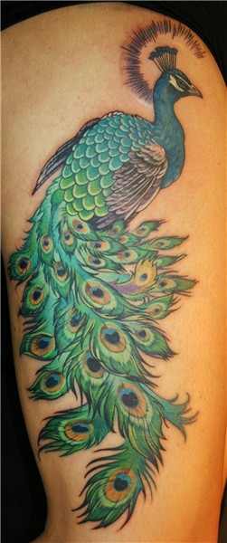 Teresa Sharpe Peacock Peacock tattoo, Feather tattoos, Pictu