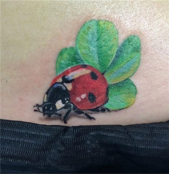 The combination of a ladybug and four-leaf clover. Lady bug