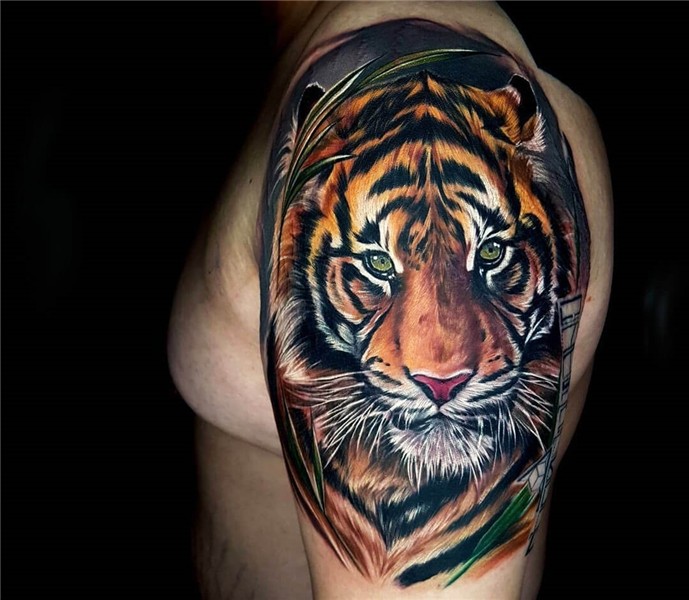 Tiger tattoo by Ata Ink Photo 23179