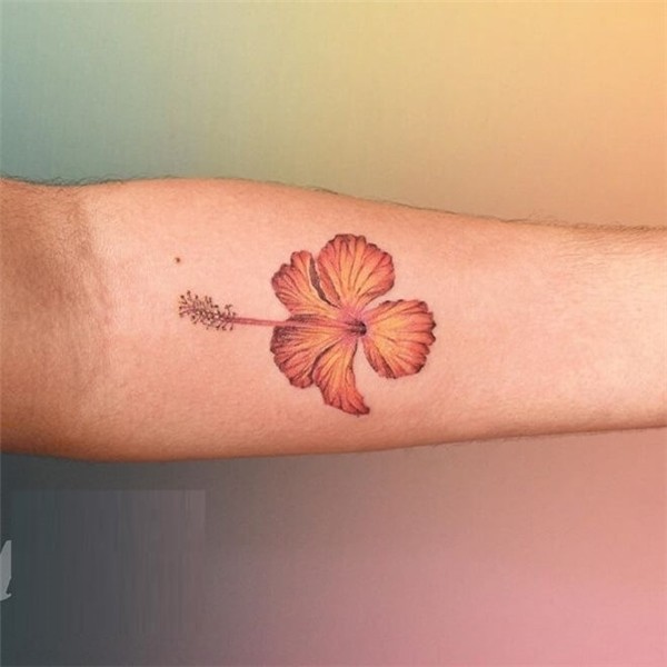 Top 30 Hibiscus Tattoos Popular Hibiscus Tattoo Designs & Id