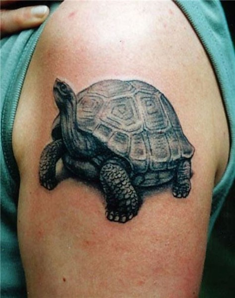 Tortoise Tattoos - TattooFan Tortoise tattoo, Turtle tattoo,