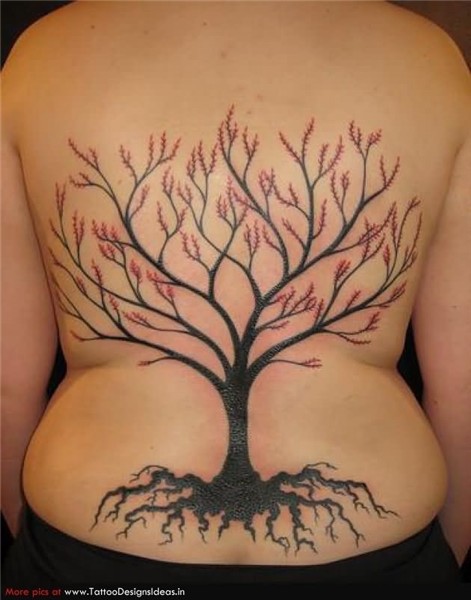 Tree Tattoo Images & Designs