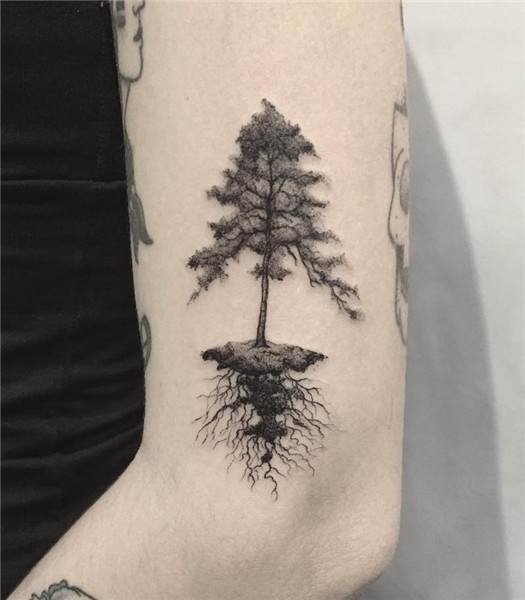 Tree Tattoos - Tattoo Insider Tree tattoo, Tree tattoo arm,