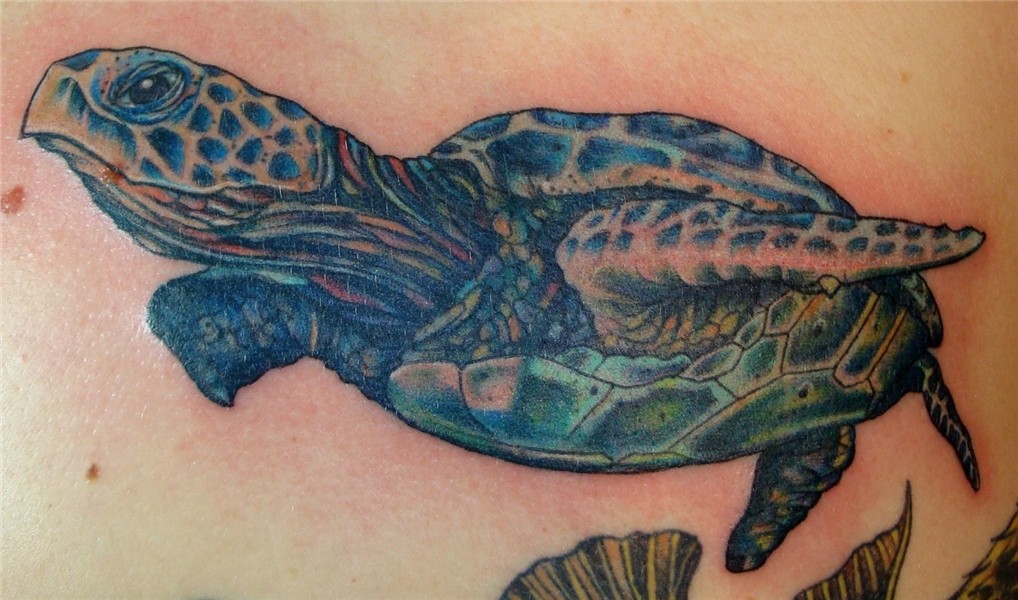 Turtle tattoos - Tattoo Ideas