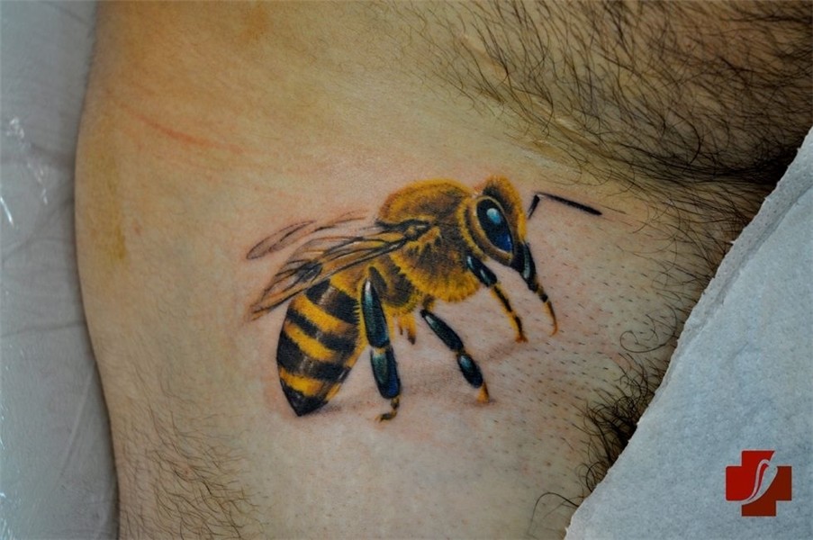 Wasp tattoo, Honey bee tattoo, Bee tattoo