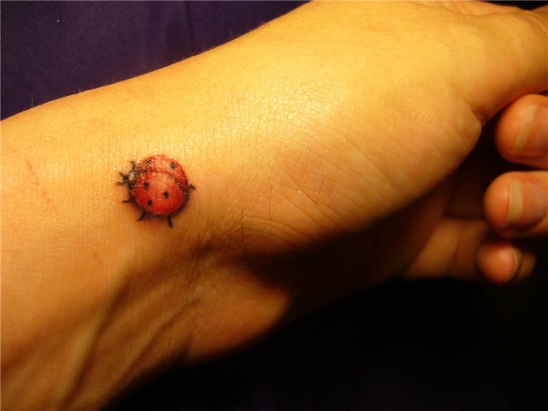 Weird Tiny Ladybug Tattoo Design On Wrist