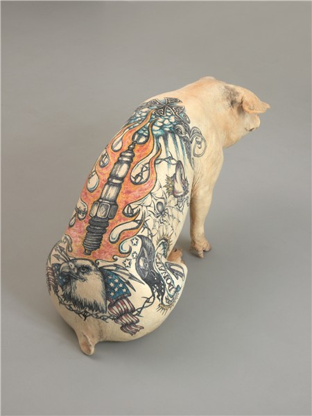 Wim Delvoye is tattooing pigs. Is this cruel? - Public Deliv