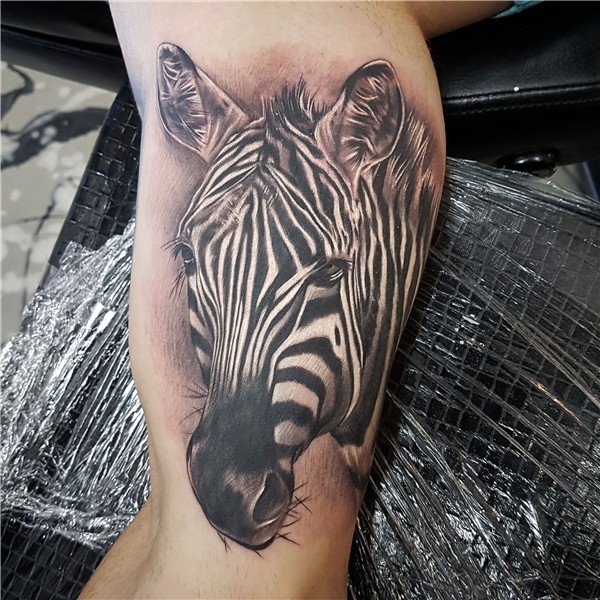 Zebra tattoo Zebra tattoos, Cool chest tattoos, Tattoos