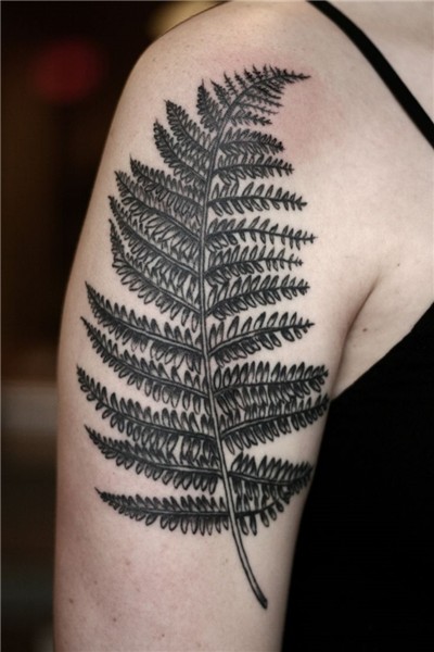 alice carrier Fern tattoo, Tattoos, Nature tattoos