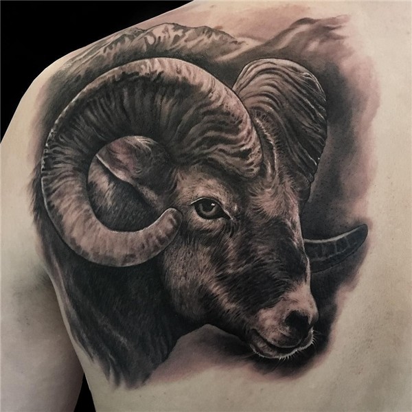 aries tattoo artist:Bettina Szanto studio:exclusink Ram tatt