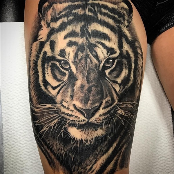 awesome 60 Awe-inspiring Tiger Tattoo Ideas - Take a Great P