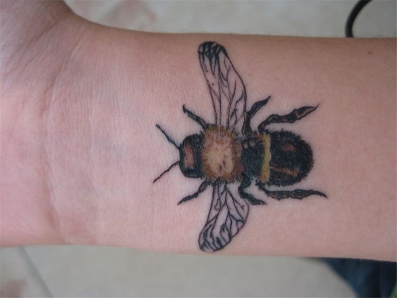 bee by Gezzyvee on deviantART Insect tattoo, Bee, Maple leaf