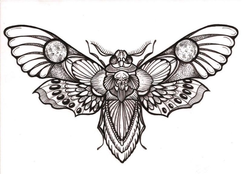 boladeberlim Moth tattoo design, Moth tattoo, Insect tattoo