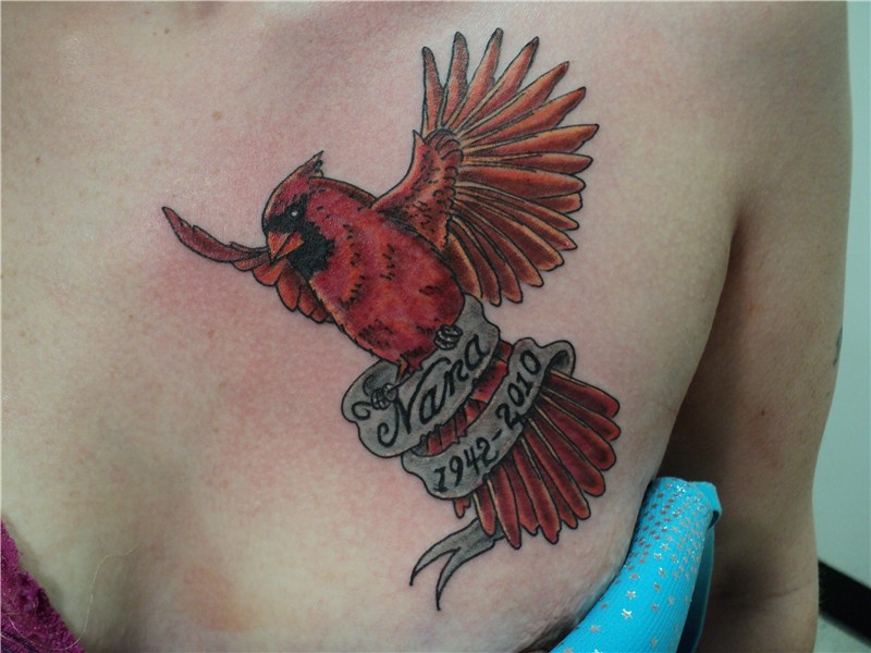cardinal/banner - Tattoo.com