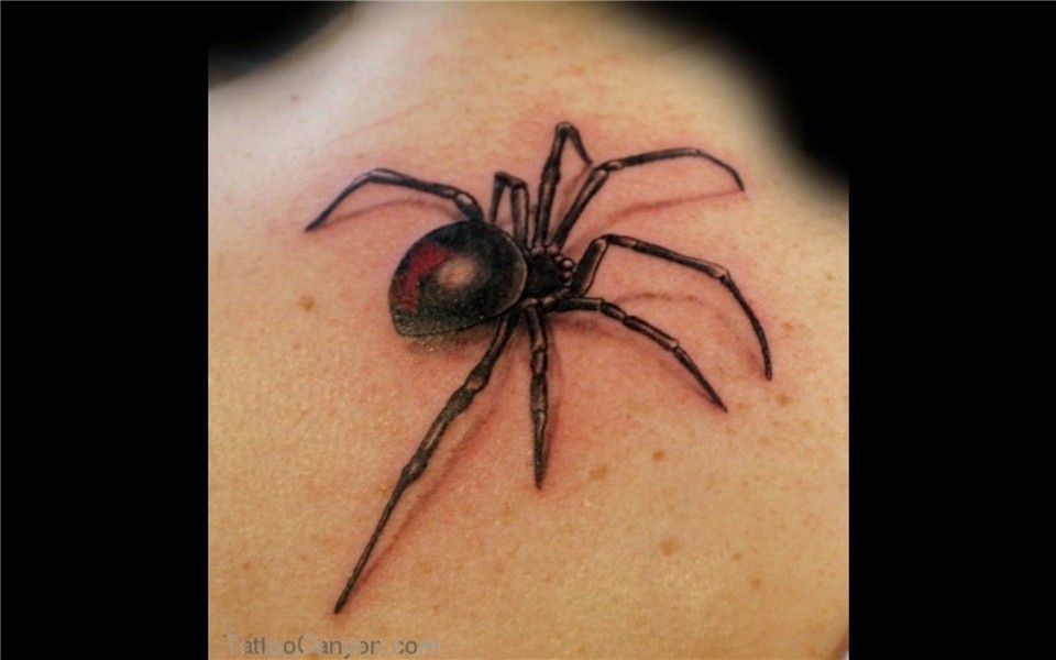 car-memes.com 3d spider tattoo, Black widow spider tattoo, T