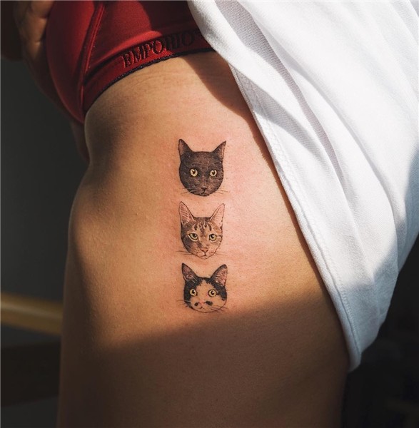 cats tattoo SOLTATTOO Cute cat tattoo, Cat tattoo designs, S