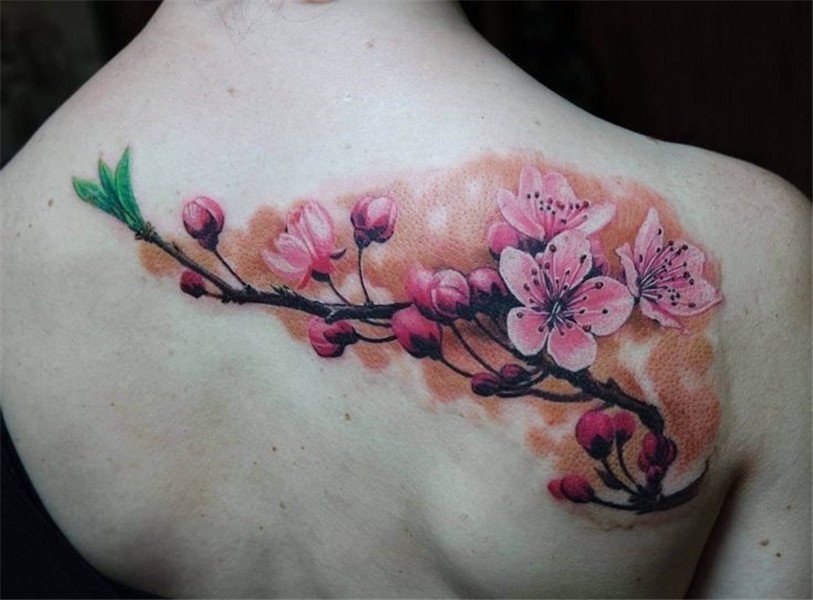 cherry blossom tattoo - Google Search Hình xăm, Hình xăm hoa