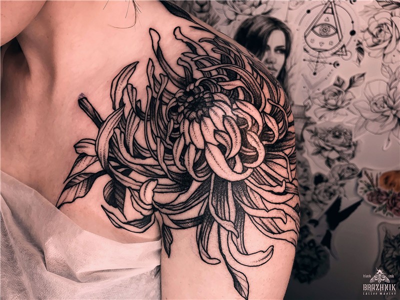 chrysanthemum tattoo Chrysanthemum tattoo, Shoulder tattoos