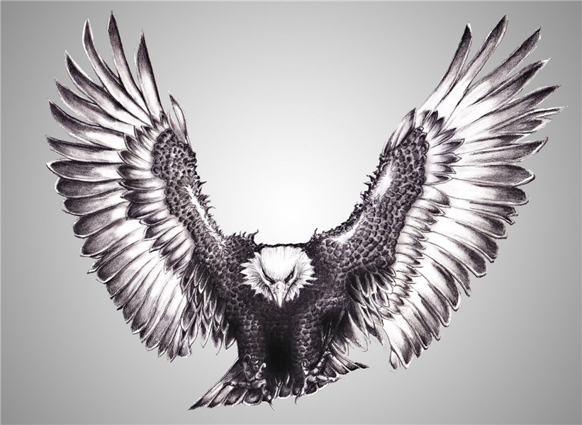 eagle pc backgrounds hd free Eagle neck tattoo, Eagle tattoo