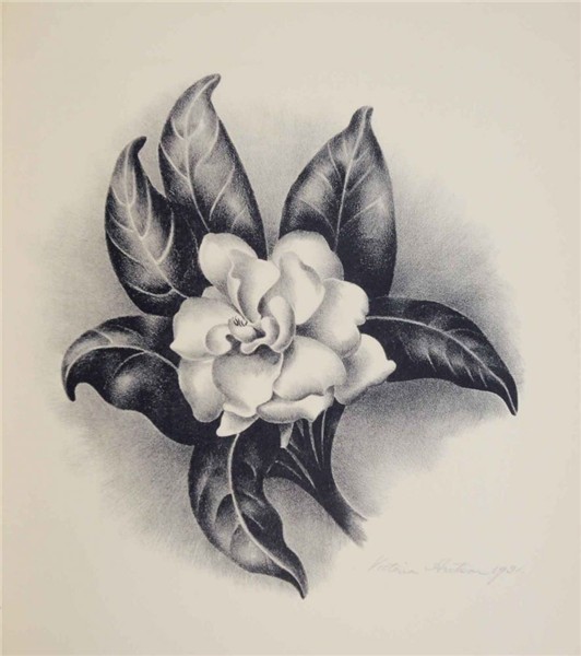 gardenia lithograph - Google Search Gardenia tattoo, Flower