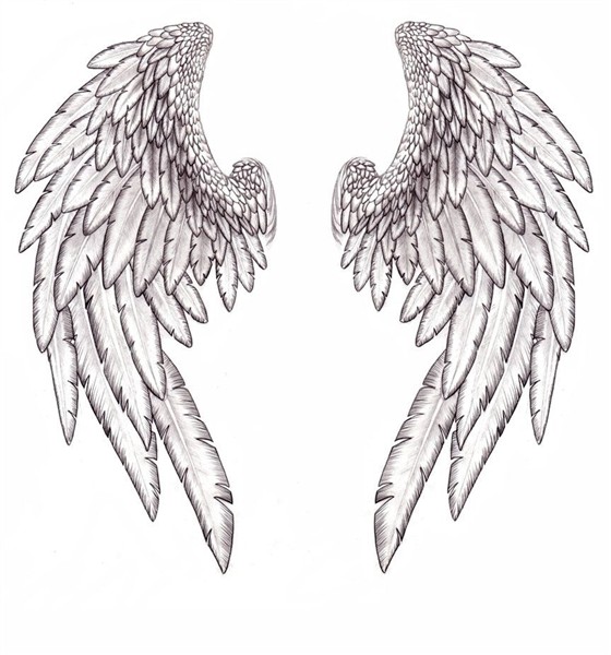 graphic design Angel wings tattoo, Wing tattoo designs, Ange