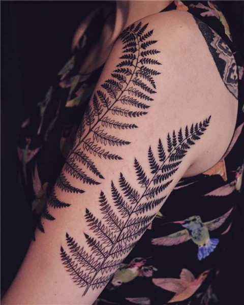 #gv #tattoo #bw #girl #fern Sleeve tattoos, Fern tattoo, Tat