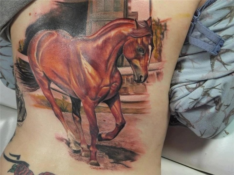 horse-tattoos-for-girls - Great Tattoo Design Ideas Horse ta