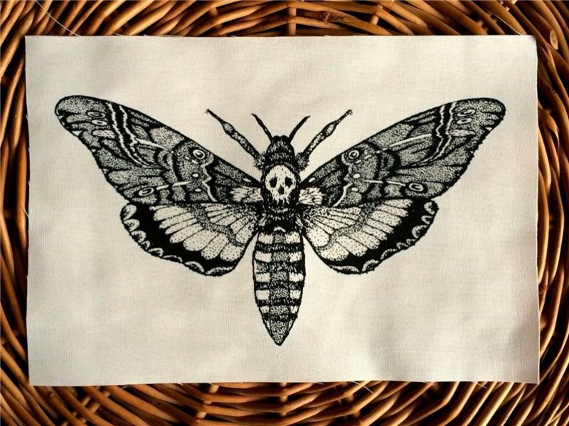 moth sketch with skull - Google Search Moth tattoo, Death mo
