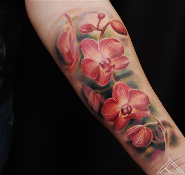 orhidejas-ziedi-orchid-flowers-tattoo-tattoofrequency-marisp