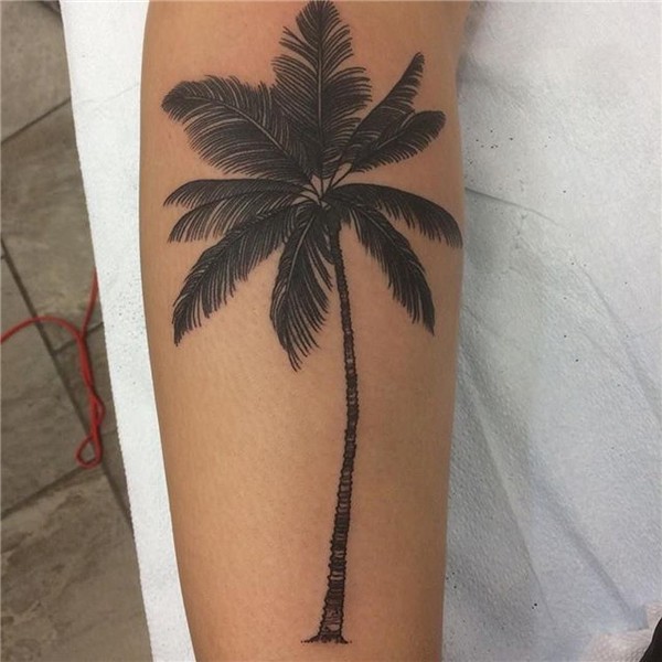 palm tree tattoos Palm tattoos, Palm tree tattoo, Tree tatto