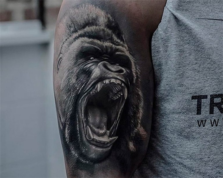 photo example of a gorilla tattoo 28.01.2019 № 034 - drawing