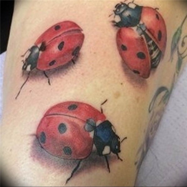 photo ladybug tattoo 17.04.2019 № 147 - idea for ladybug tat