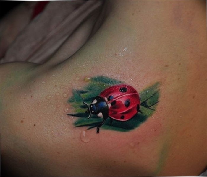 photo ladybug tattoo 17.04.2019 № 281 - idea for ladybug tat