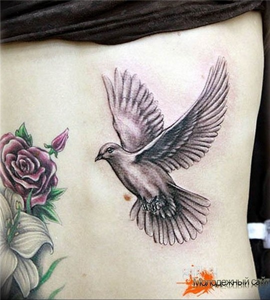 photo tattoo pigeon 03.03.2019 № 155 - idea for drawing pige