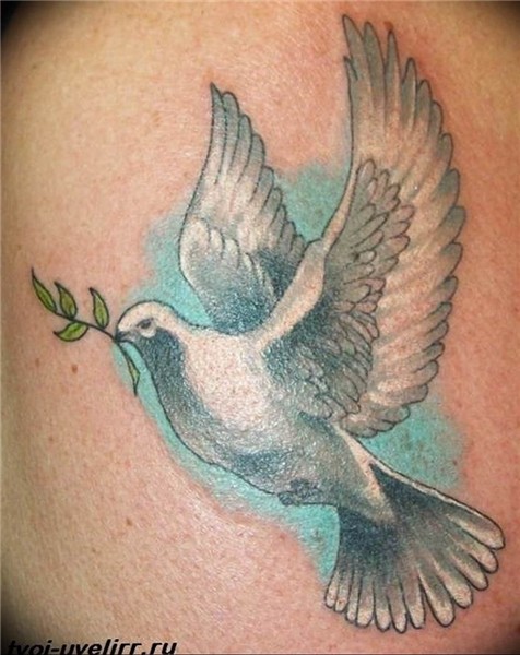 photo tattoo pigeon 03.03.2019 № 180 - idea for drawing pige