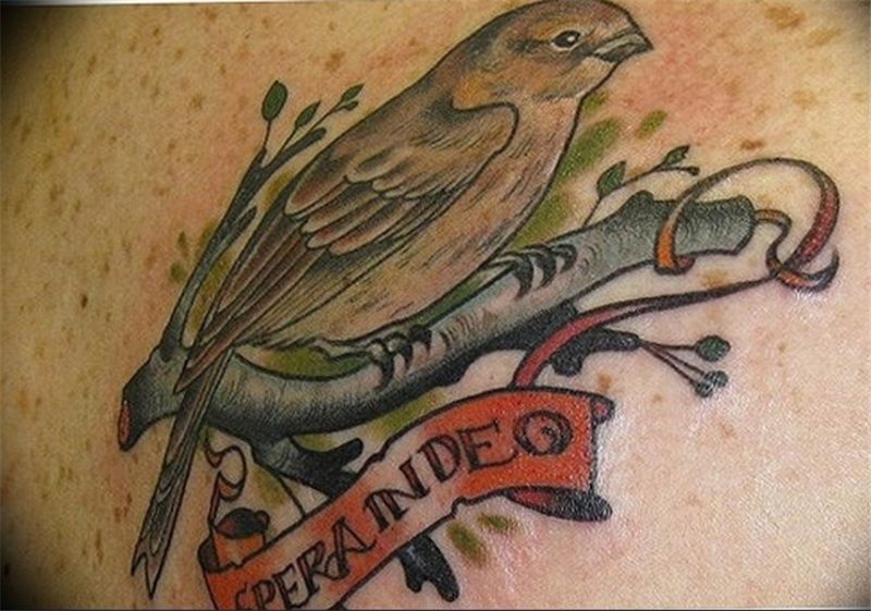 photo tattoo sparrow 19.02.2019 № 112 - sparrow tattoo idea