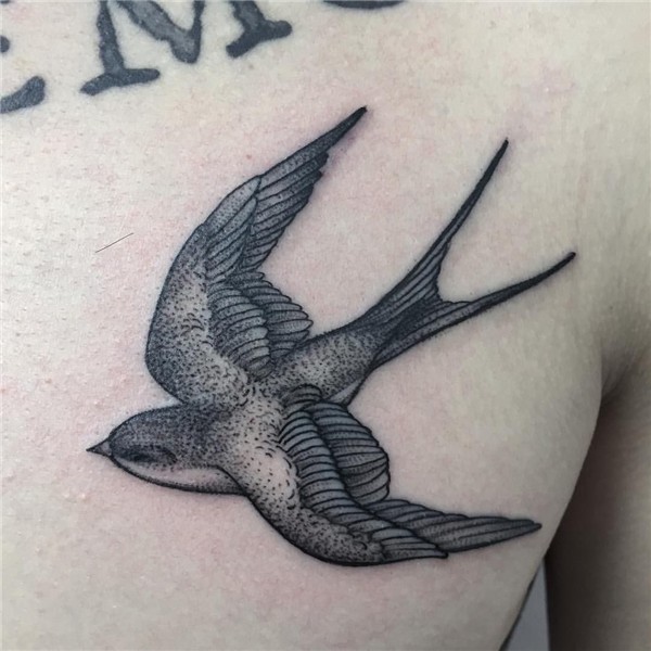 sashatattooing Swallow tattoo design, Tattoos, Tattoos for g