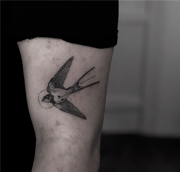 swallow tattoo Swallow tattoo, Tattoos, Birds tattoo