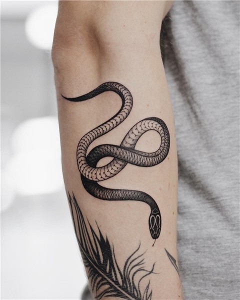 tattoo snake tattoo ideas #tattoo #line ... - tattoo snake t