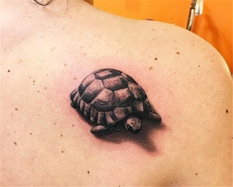 tortoise tattoo - Google Search Turtle tattoo designs, Turtl