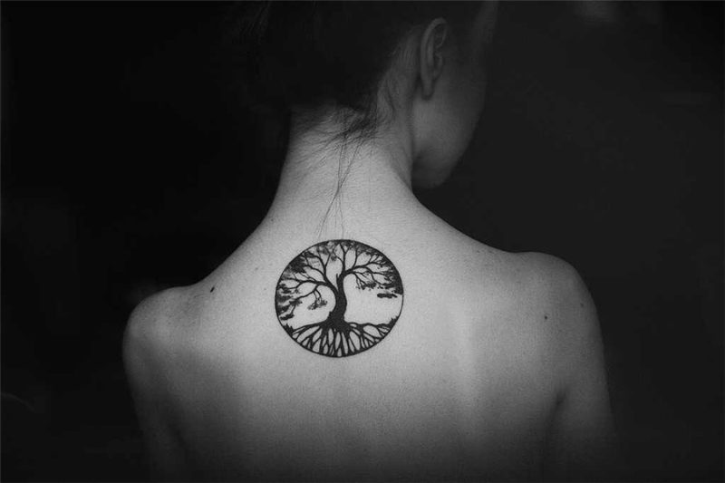 tree of life tattoo - Google Search Tree of life tattoo, Lif