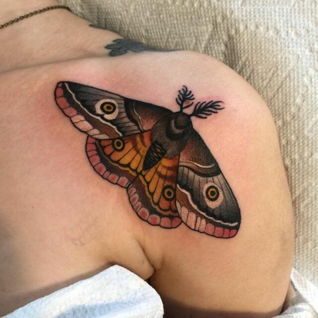 Tattoo of a moth on the shoulder